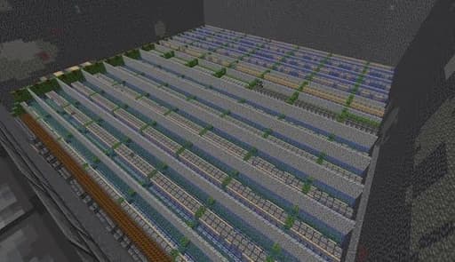 Bamboo Farm
