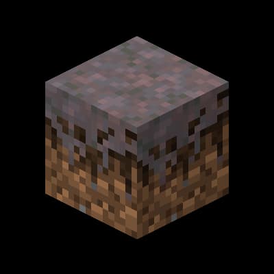 Mycelium