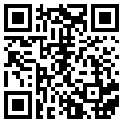 Custom QR-Code Mapart