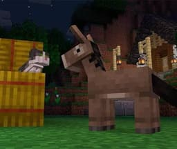DonkeyShop