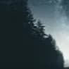 AlderSells