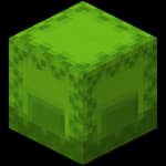 shoptoms3