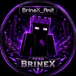 BrineX
