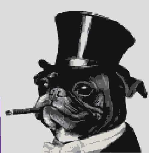 mr dog
