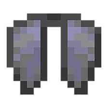 elytra