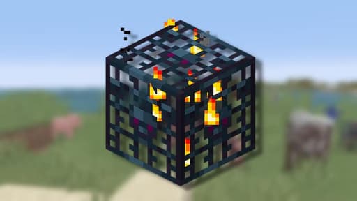 Skeleton Spawners