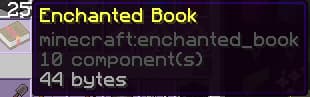 Enchanted Book (With No Enchant)