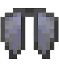 Elytra