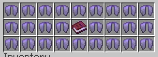 Elytra kit.