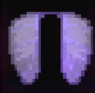 Elytra 1