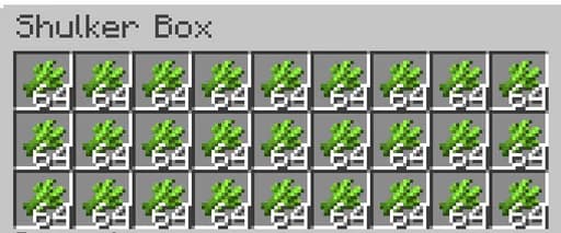 Sugar cane