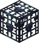 Skeleton Spawner
