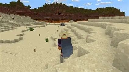 elytra