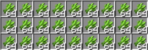 Sugar Cane