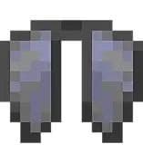 Elytra
