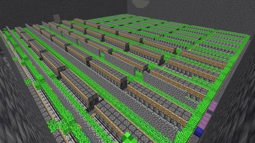 bamboo farm 48 module